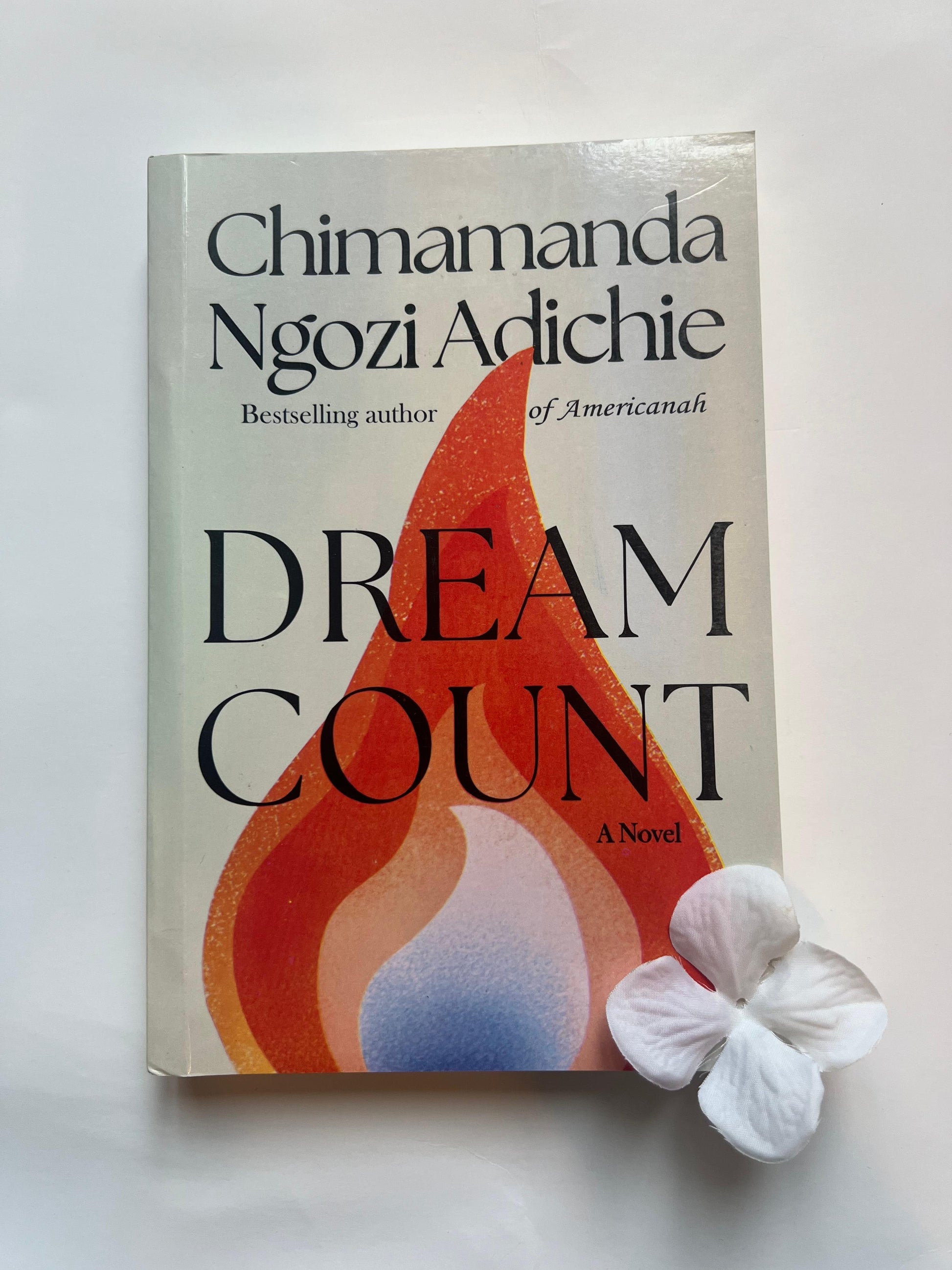 Dream Count