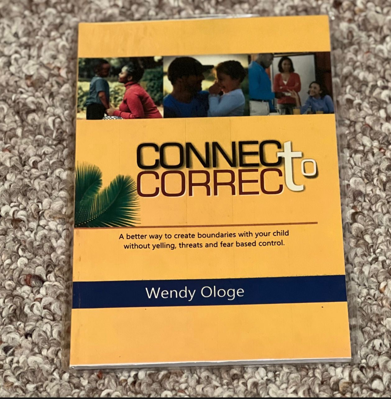 Connect to Correct