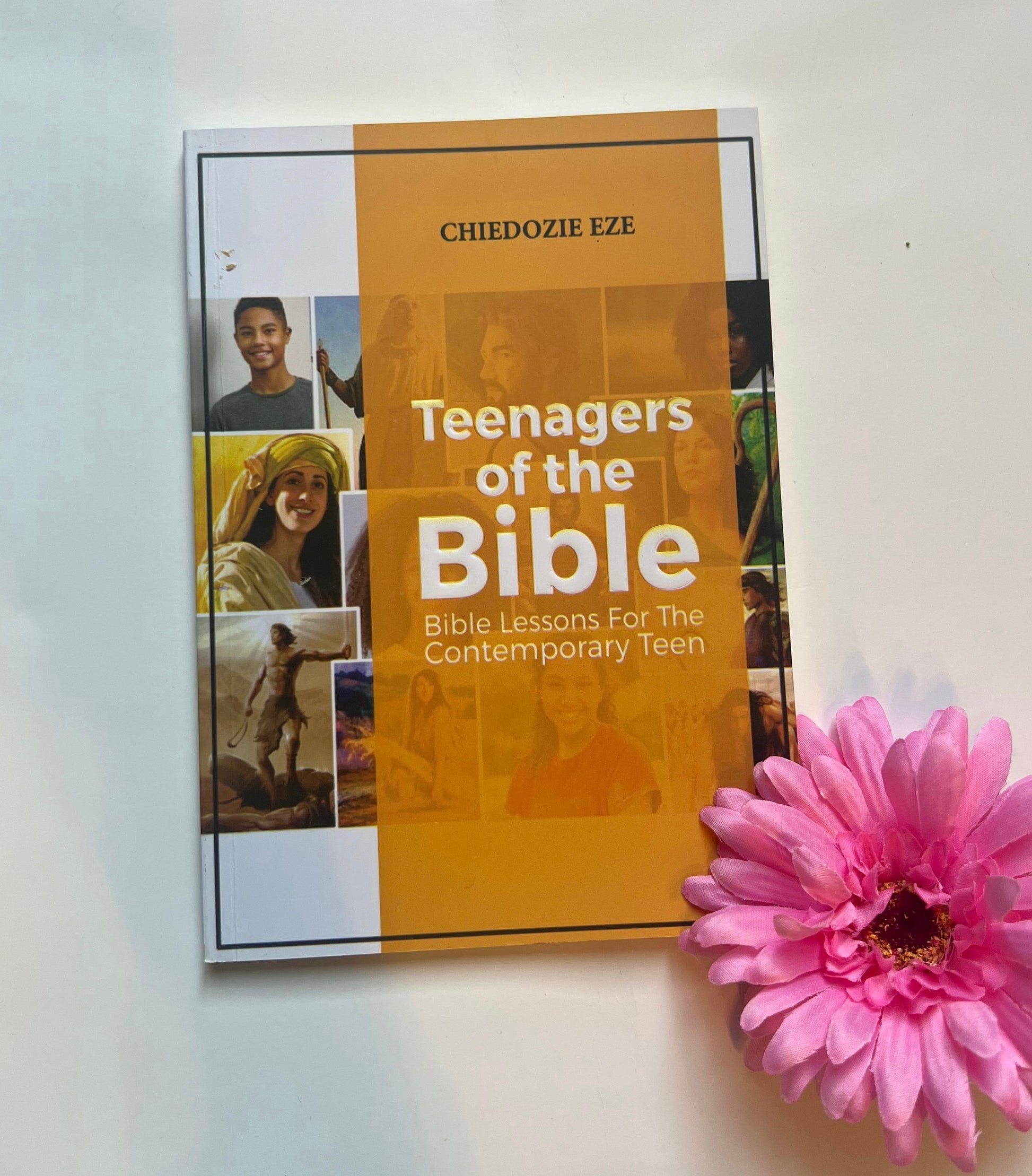 Teenagers of the Bible V1