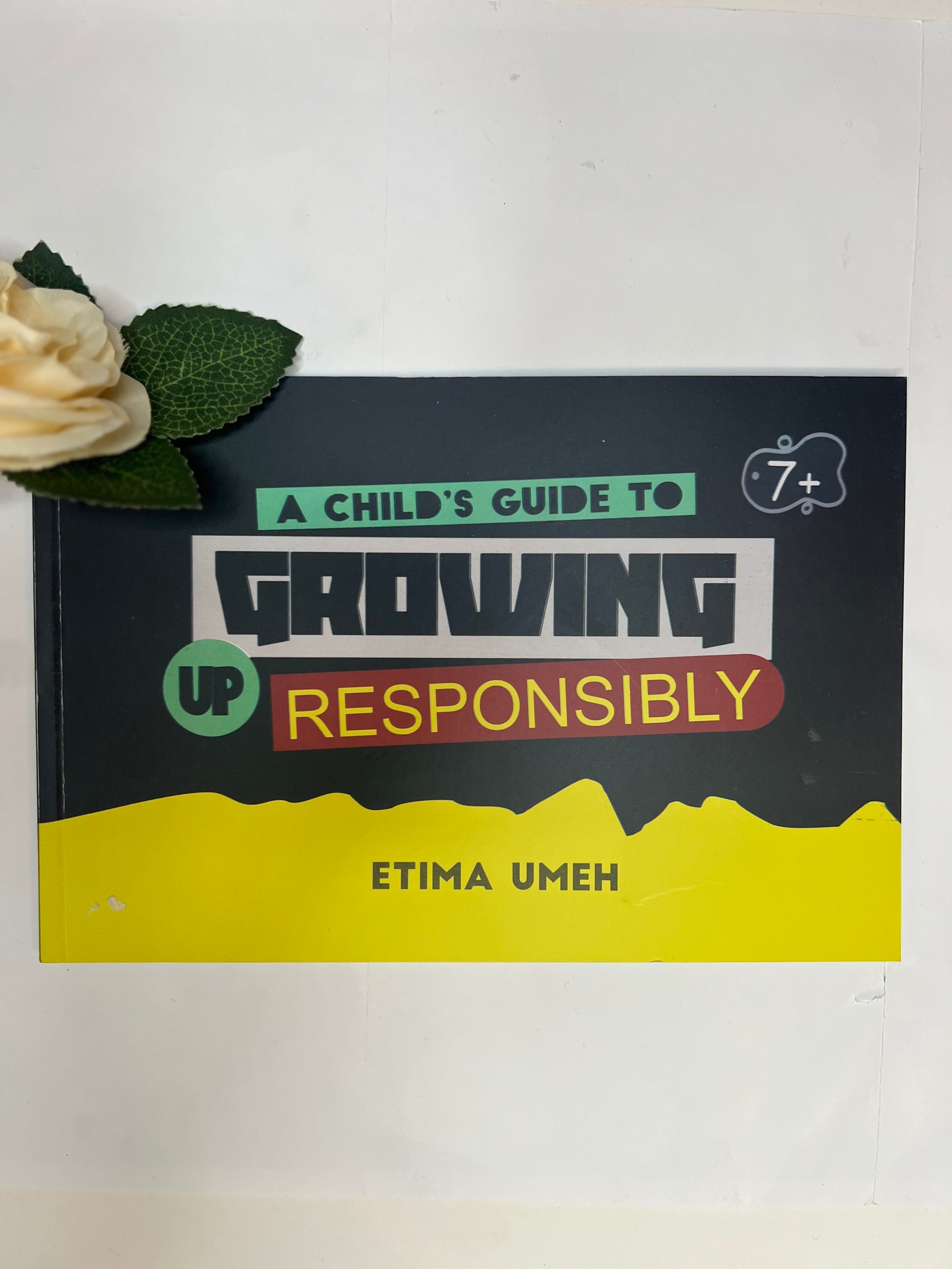 A Child’s guide to growing Responsible