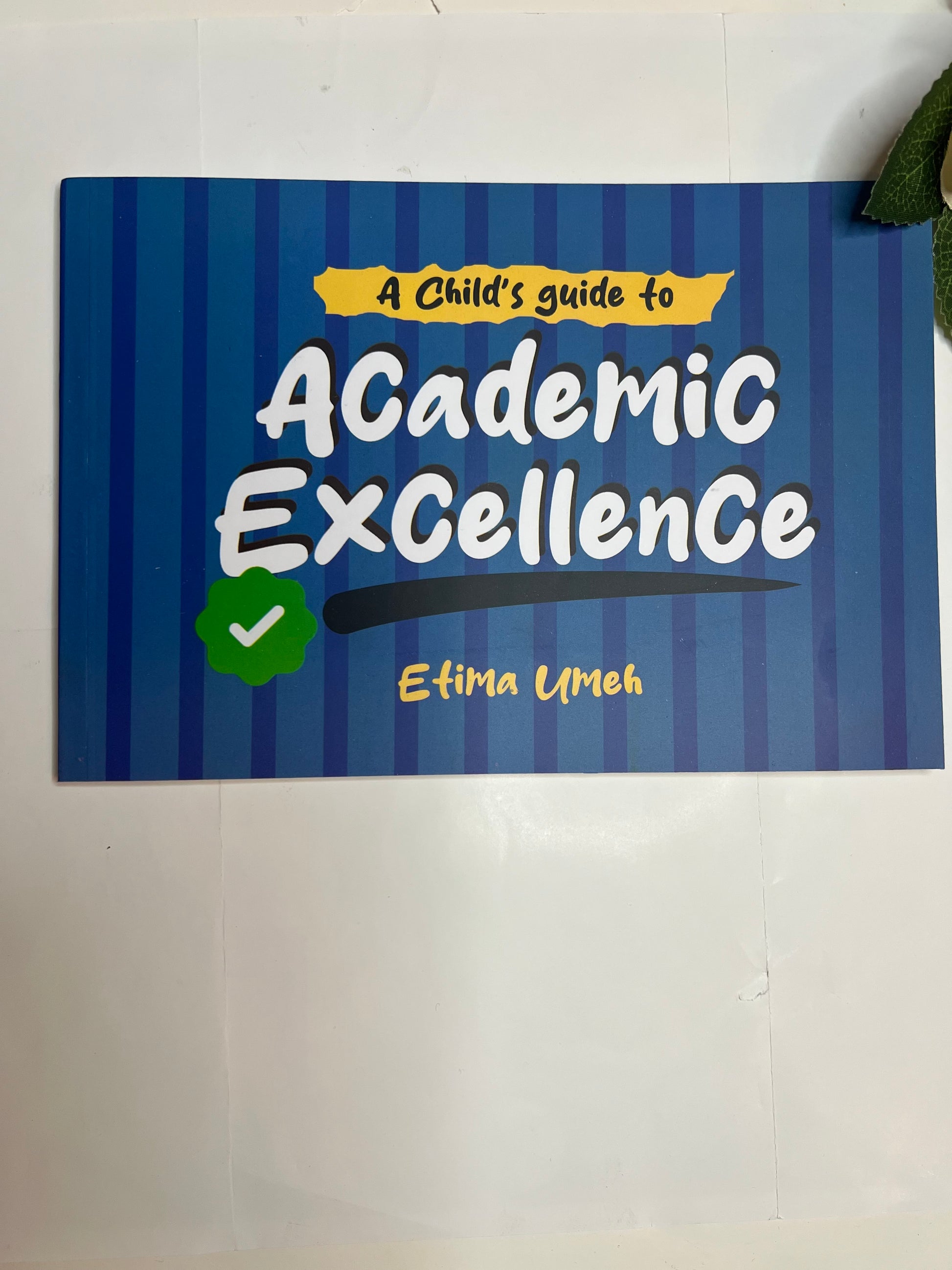 A Child Guide to Academic Excellence