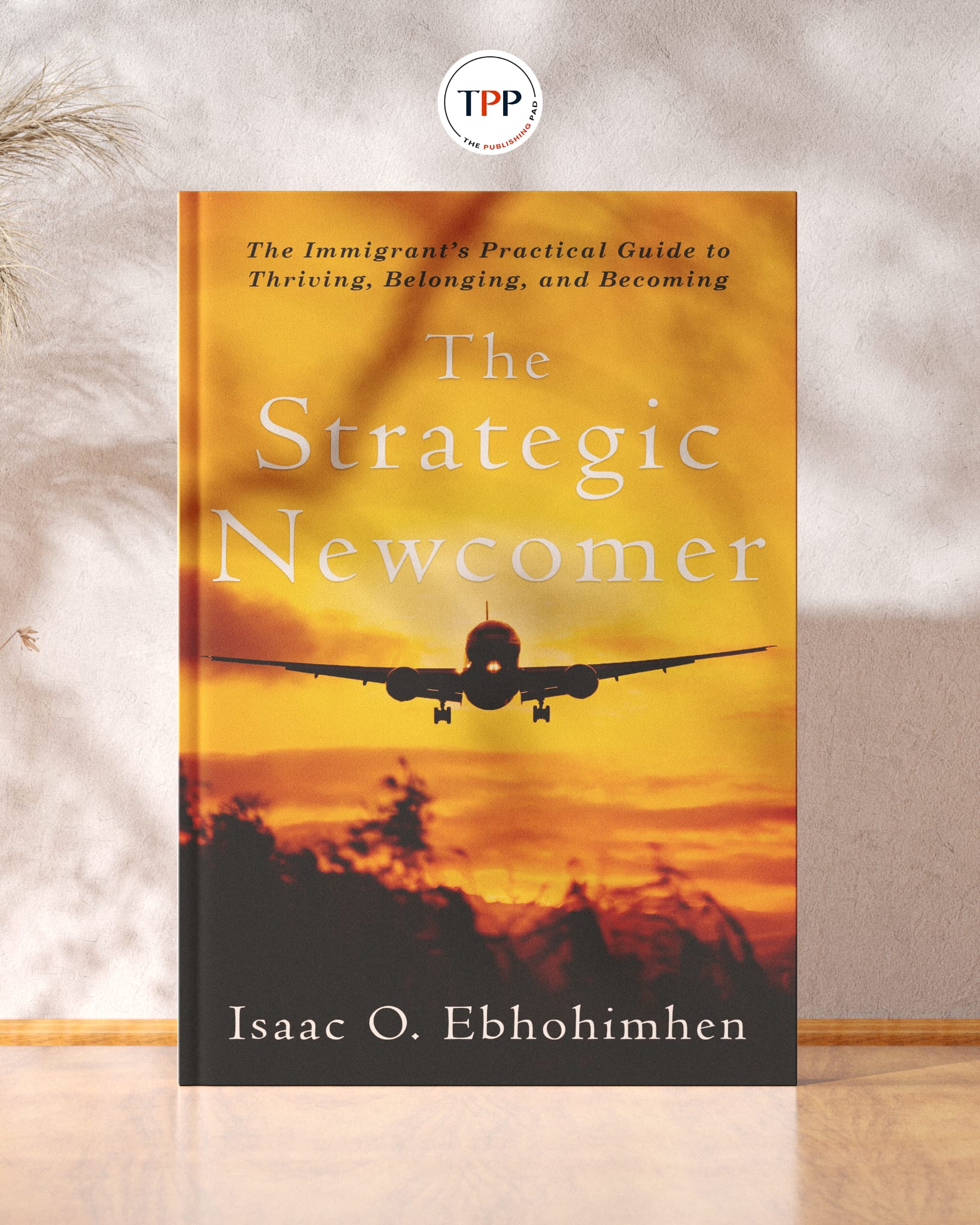 The Strategic Newcomer